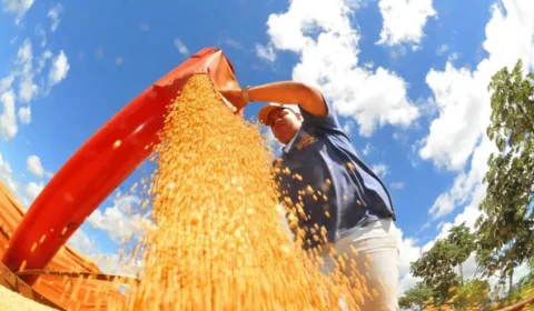 Norte e Nordeste sofrem com calor extremo e risco cresce para o agro