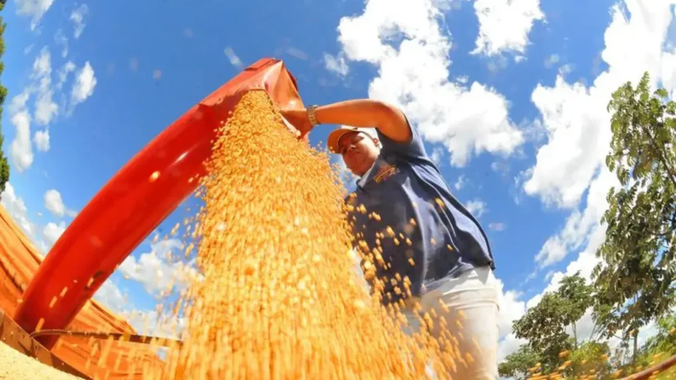 Norte e Nordeste sofrem com calor extremo e risco cresce para o agro