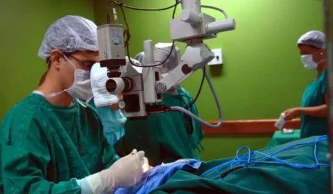 Número de transplantes cresce 21% no Brasil e bate recorde histórico