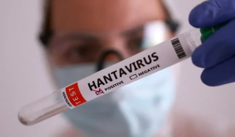 OMS confirma oito casos de hantavírus em surto em navio