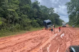 Dnit retoma licitações de R$ 678 milhões para recuperação da BR-319