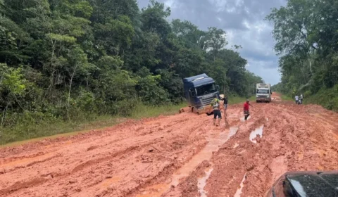 Dnit retoma licitações de R$ 678 milhões para recuperação da BR-319