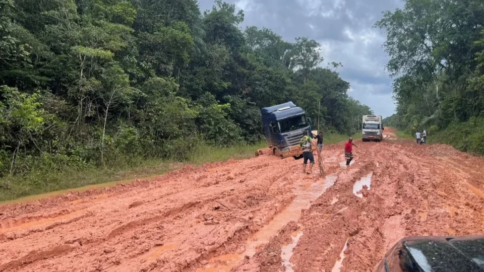 Dnit retoma licitações de R$ 678 milhões para recuperação da BR-319