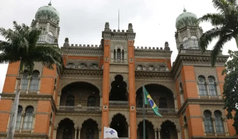 Fiocruz abre 20 mil vagas em curso sobre impactos das bets na saúde
