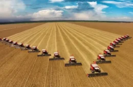 Agro bate recorde e emprega 28,4 milhões de brasileiros em 2025