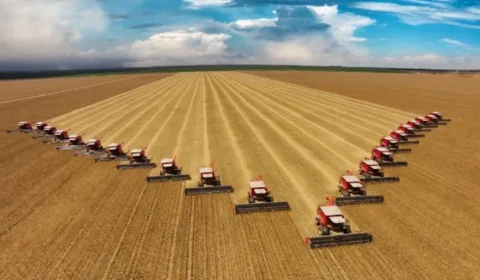 Agro bate recorde e emprega 28,4 milhões de brasileiros em 2025
