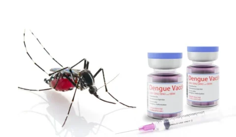 Por que a vacina da dengue do Butantan foi suspensa? Entenda o que aconteceu