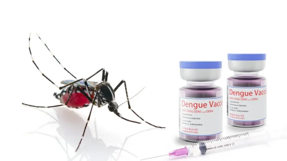 Por que a vacina da dengue do Butantan foi suspensa? Entenda o que aconteceu