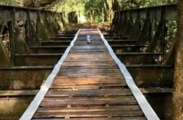 Ponte desaparecida é encontrada a 180 quilômetros de distância e teria sido vendida por R$ 700 mil
