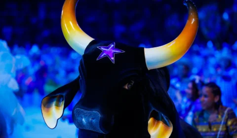 Boi Caprichoso conquista o Festival Folclórico de Parintins de 2026