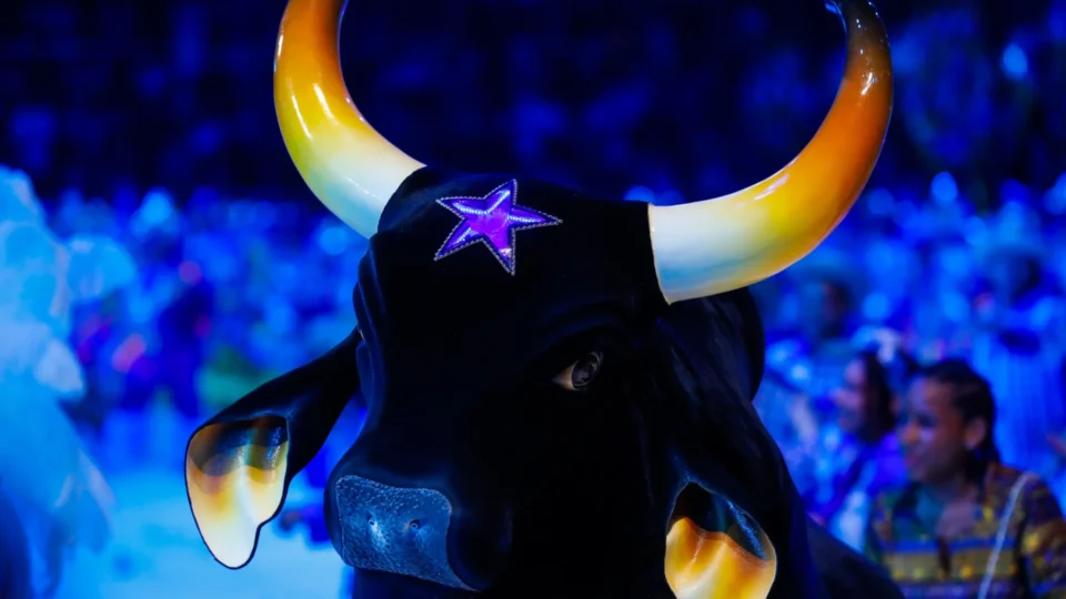 Boi Caprichoso conquista o Festival Folclórico de Parintins de 2026