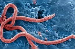 São Paulo investiga segundo caso suspeito de Ebola; paciente está isolada no Emílio Ribas