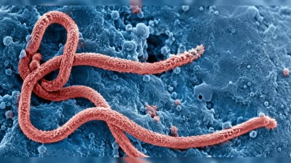 São Paulo investiga segundo caso suspeito de Ebola; paciente está isolada no Emílio Ribas