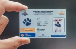 RG Pet já ajuda a localizar animais perdidos e ultrapassa milhões de cadastros; veja como emitir o documento gratuito