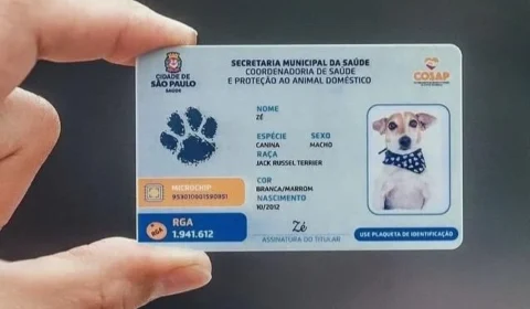 RG Pet já ajuda a localizar animais perdidos e ultrapassa milhões de cadastros; veja como emitir o documento gratuito
