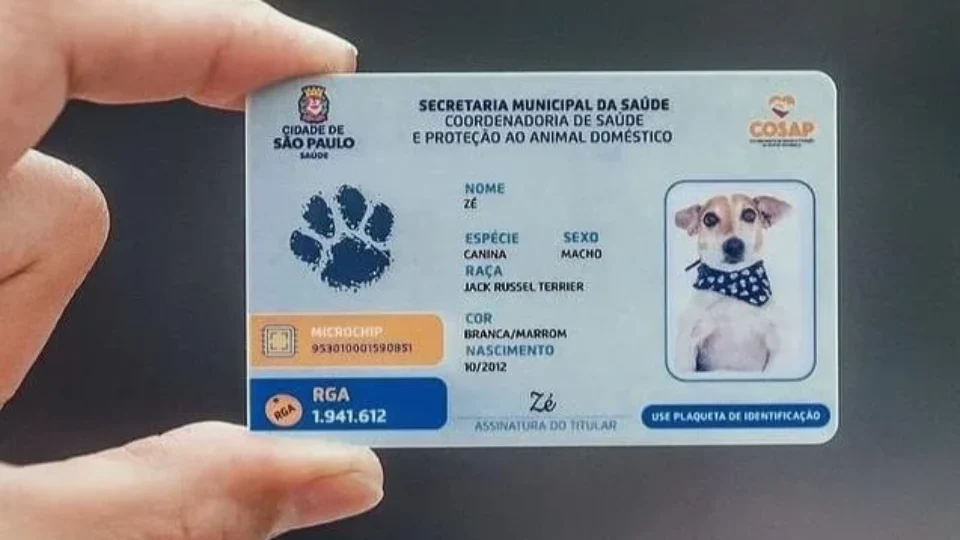 RG Pet já ajuda a localizar animais perdidos e ultrapassa milhões de cadastros; veja como emitir o documento gratuito