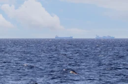 ONU anuncia megaoperação para resgatar 11 mil marinheiros retidos no Estreito de Ormuz após acordo entre EUA e Irã