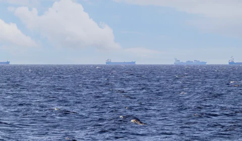 ONU anuncia megaoperação para resgatar 11 mil marinheiros retidos no Estreito de Ormuz após acordo entre EUA e Irã