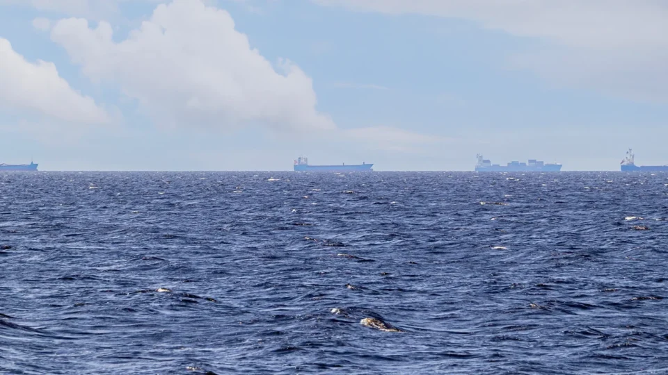 ONU anuncia megaoperação para resgatar 11 mil marinheiros retidos no Estreito de Ormuz após acordo entre EUA e Irã