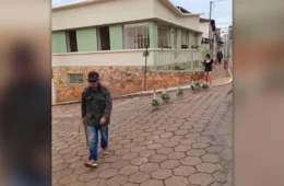 Gansos desfilam com bandeiras do Brasil e viralizam em cidade de Minas