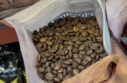Café premium “fura bolha” e conquista os brasileiros
