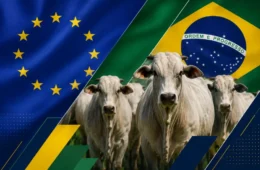 Carne vai ficar mais barata no Brasil com veto da UE? Entenda o impacto