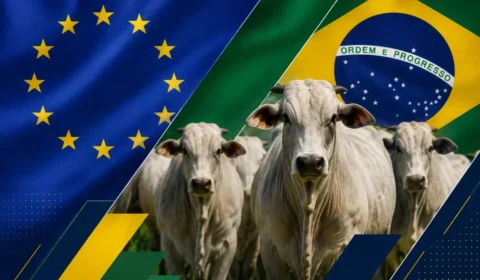 Carne vai ficar mais barata no Brasil com veto da UE? Entenda o impacto