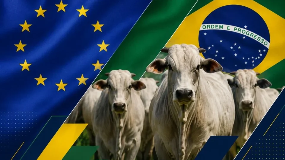 Carne vai ficar mais barata no Brasil com veto da UE? Entenda o impacto