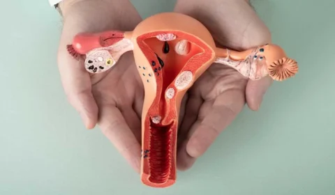 Maior estudo genético sobre endometriose muda visão da doença e aponta ligação além do sistema reprodutivo