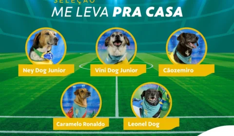De olho no hexa: pets viram “craques” em campanha de adoção e buscam uma vaga no coração dos mineiros