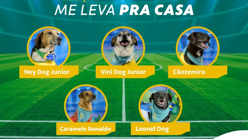De olho no hexa: pets viram “craques” em campanha de adoção e buscam uma vaga no coração dos mineiros