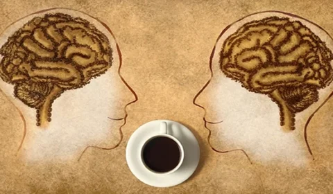 Café ganha força na ciência e estudos apontam possível proteção contra o Alzheimer