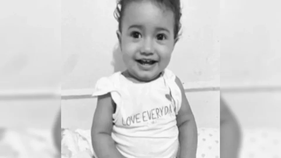 Menina de 2 anos que desapareceu em fazenda é encontrada morta após força-tarefa de buscas
