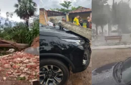 Microexplosão provoca destruição, derruba árvores e deixa rastro de prejuízos no Piauí