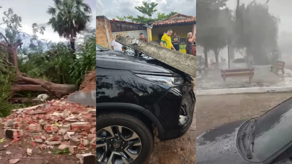 Microexplosão provoca destruição, derruba árvores e deixa rastro de prejuízos no Piauí