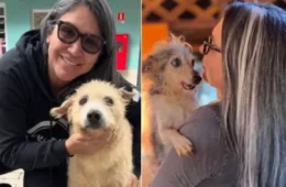 De protetora a investigada: quem é a ex-secretária presa por suspeita de matar animais