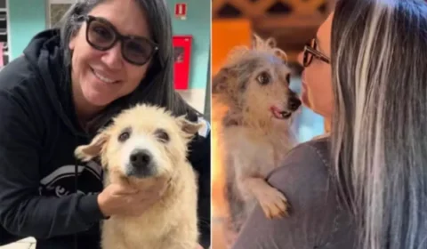 De protetora a investigada: quem é a ex-secretária presa por suspeita de matar animais