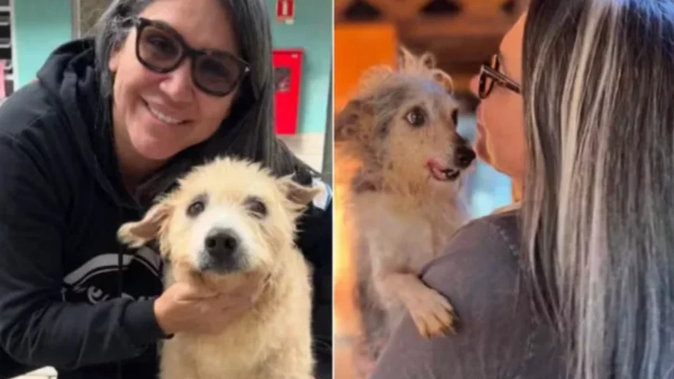 De protetora a investigada: quem é a ex-secretária presa por suspeita de matar animais