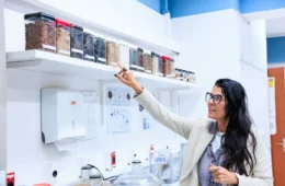 Calculadora transforma resíduos agroindustriais em créditos de carbono