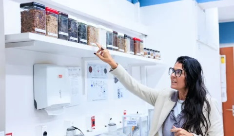 Calculadora transforma resíduos agroindustriais em créditos de carbono