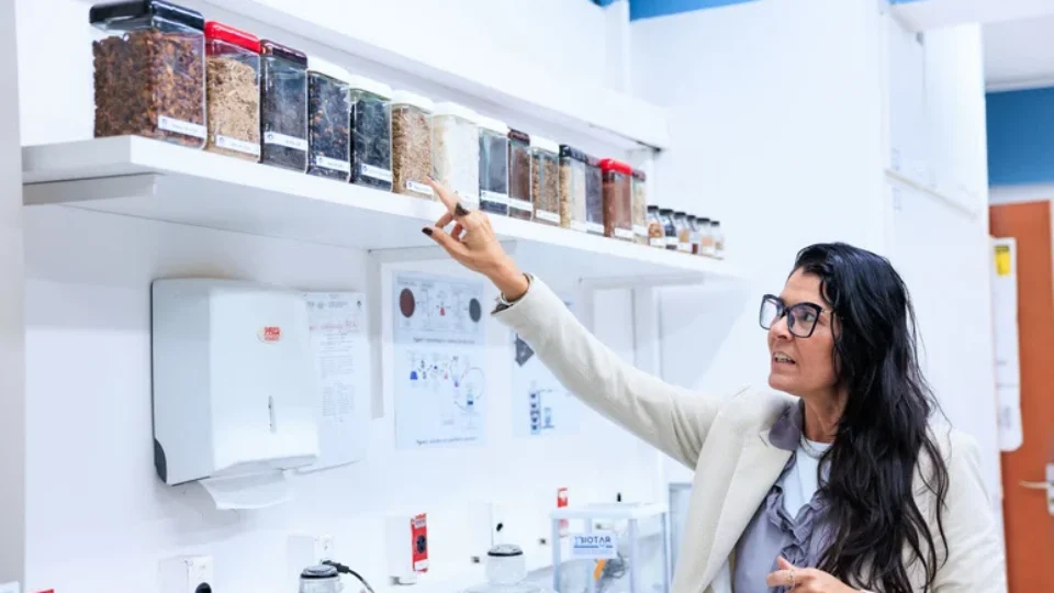 Calculadora transforma resíduos agroindustriais em créditos de carbono