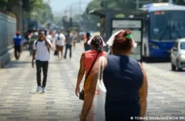 Maioria das cidades do Brasil não tem plano de ação para calor extremo