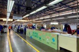 Bibi transforma resíduos industriais em nova matéria-prima para palmilhas