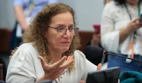 Parlamentares governistas vão aos EUA apresentar contraponto à direita