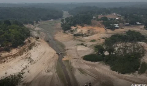 MapBiomas alerta: Brasil tem cada vez menos água