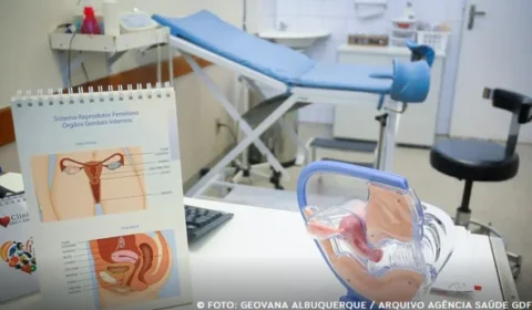 Endometriose afeta 10% das mulheres em idade reprodutiva no Brasil
