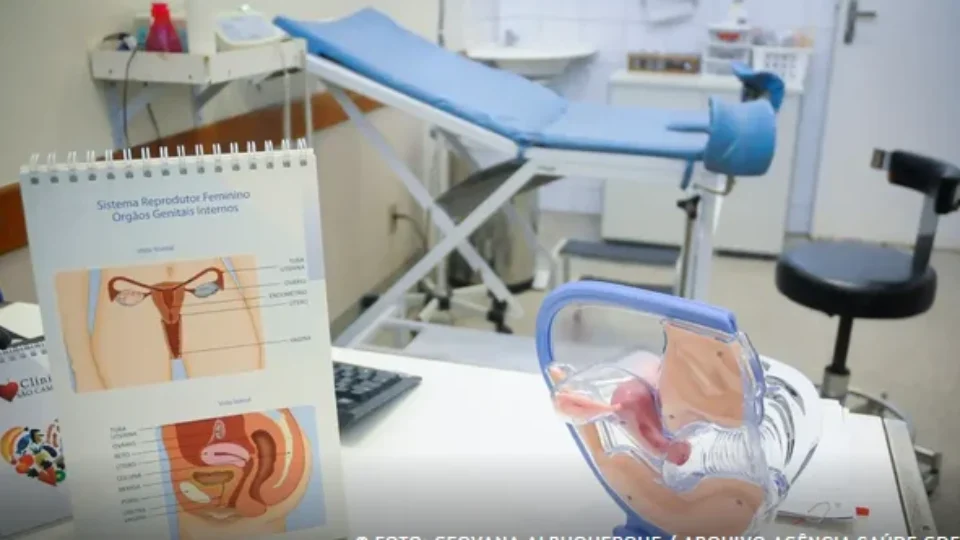 Endometriose afeta 10% das mulheres em idade reprodutiva no Brasil