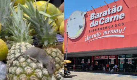Rato morto é encontrado sobre frutas em um supermercado de Manaus-AM