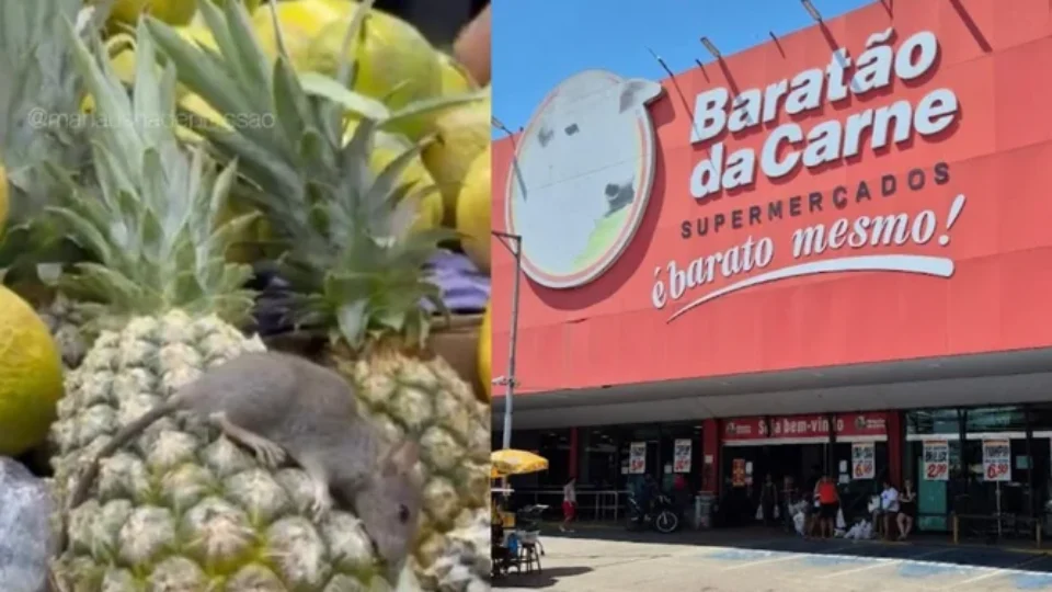 Rato morto é encontrado sobre frutas em um supermercado de Manaus-AM
