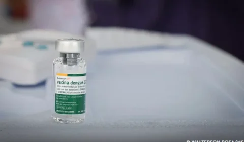 Butantan mantém estudo sobre vacina da dengue em idosos